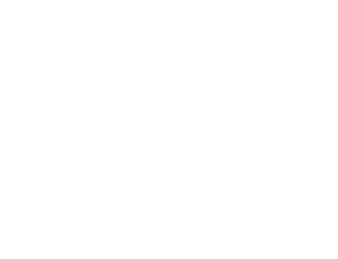 Bday Luca e Caue Logo